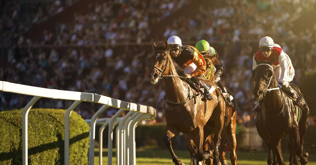 One of the world’s most prestigious and spectacular race days - Dubai World Cup 2024 will be held on March 30