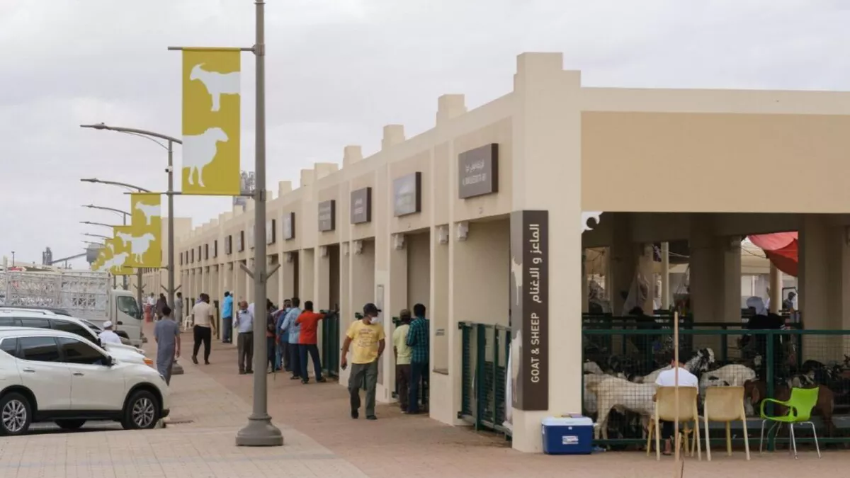 Sharjah Livestock Market announced change in its working hours during Ramadan