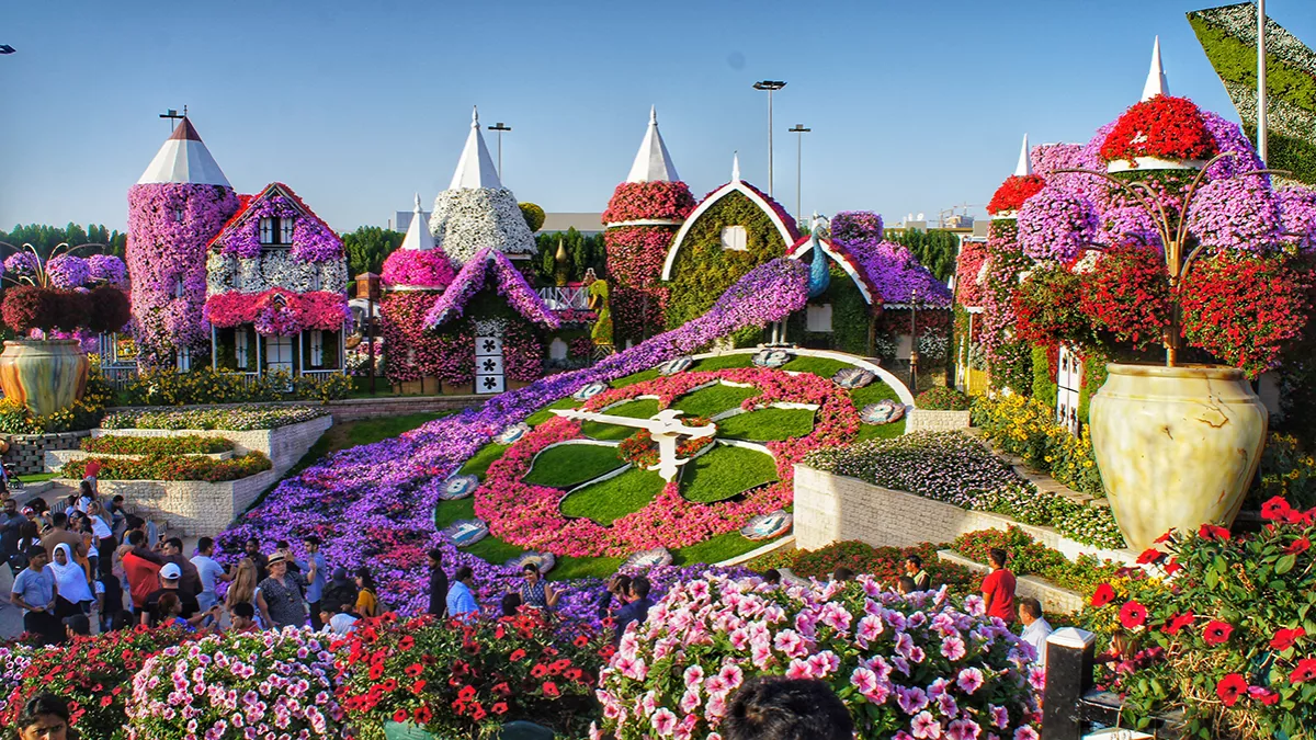 Dubai’s most popular family attractions Dubai Miracle Garden is reopening its gates on Sunday October 1