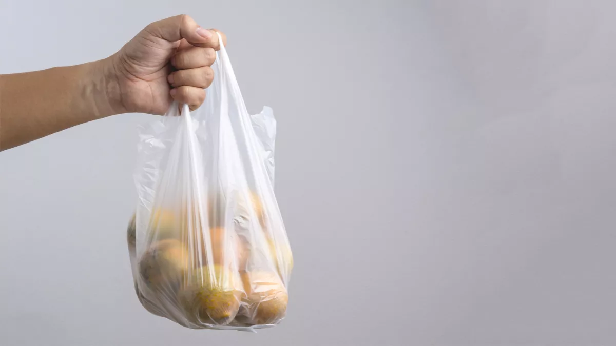 Dubai-wide ban on single-use bags, including both plastic and paper, will come into effect in less than three months