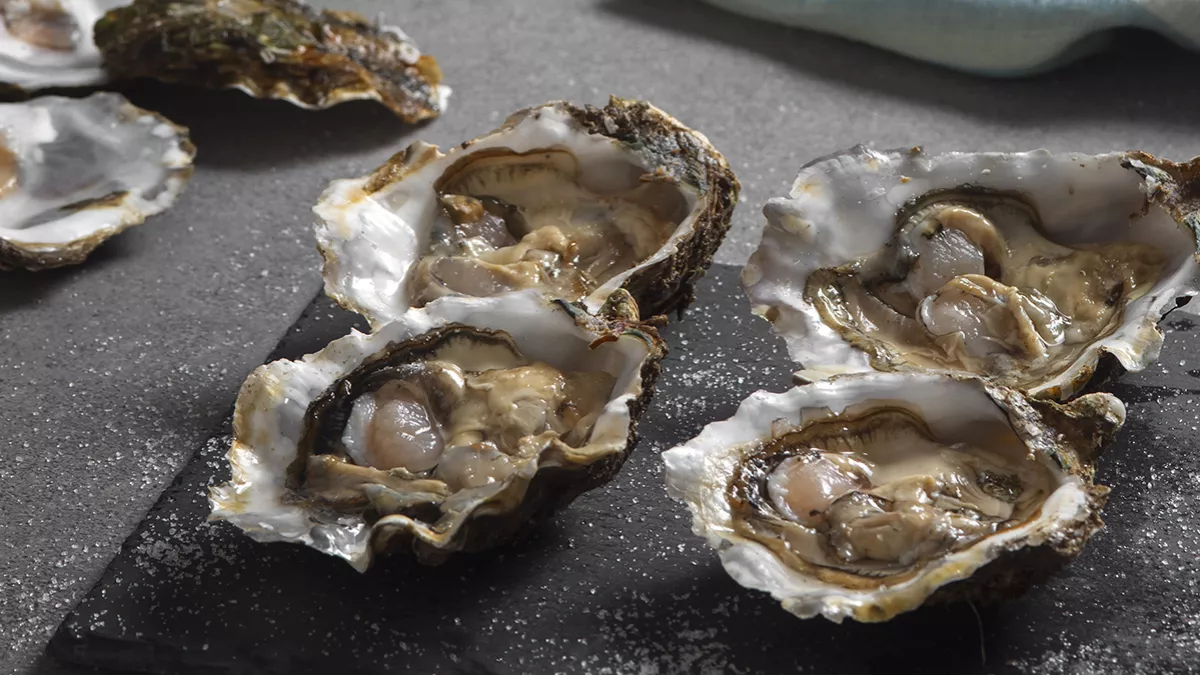 Environment Agency – Abu Dhabi launches the region’s first freshwater pearl oyster aquaculture project 