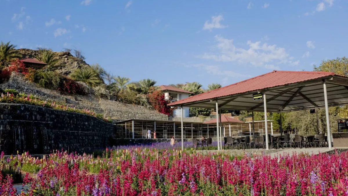 Enjoy the stunning display of more than 30,000 flowers at UAE Flower Farm in Wadi Asimah, Ras Al Khaimah