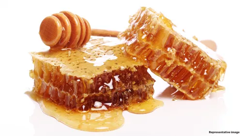 Hatta Honey Festival from December 27 to December 31; spotlight being UAE's special Sidr and Samr honey