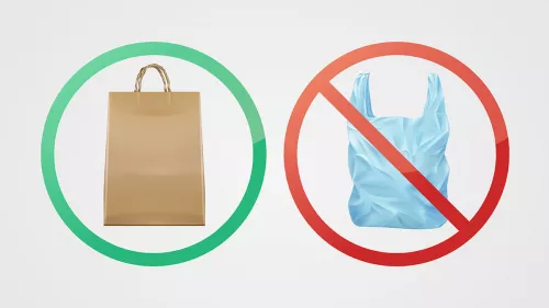 More than 172 million single-use plastic grocery bags have been prevented from entering the environment as per Environment Agency — Abu Dhabi