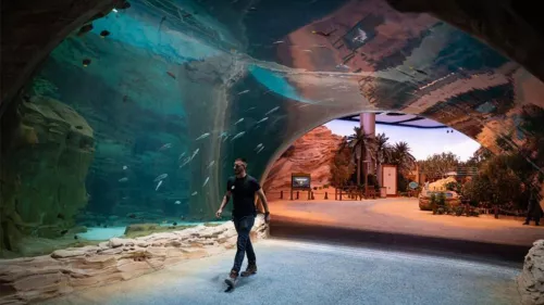 The world’s largest aquarium at Endless Ocean Zone on Yas Island houses more than 68,000 marine animals