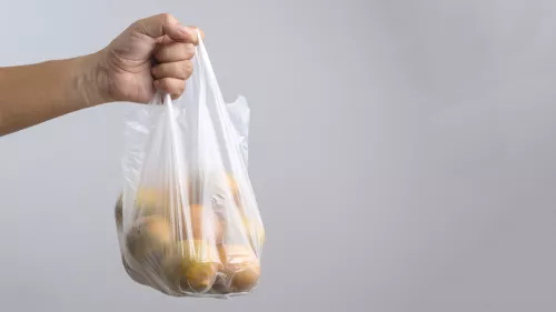 Dubai-wide ban on single-use bags, including both plastic and paper, will come into effect in less than three months