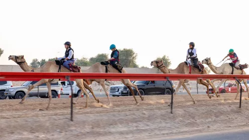 UAE’s first all-female camel racing team, the Dubai-based Arabian Desert Camel Riding Club, completes 100km ride through Jordan