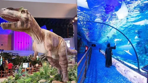 Visit two of Dubai’s best, family-friendly attractions with Combo: IMG Park + Dubai Aquarium offer