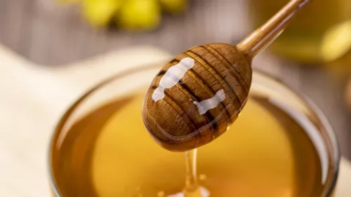 New project at Al Dhaid University to focus on extracting honey from olive trees