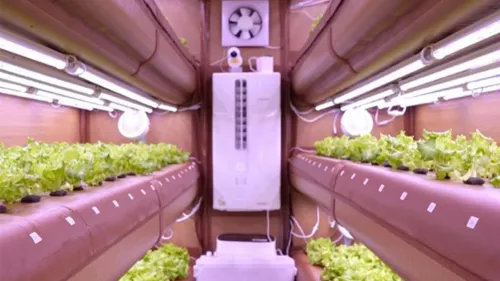 Abu Dhabi University launches AirFarm on campus; showcases an amalgamation of futuristic technologies for food security and sustainable agriculture