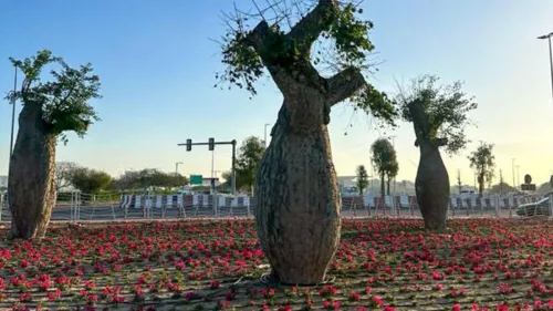 Intersection at Al Meydan and Al Khail turned into a unique artwork combining elements of nature with specially chosen ornamental plants