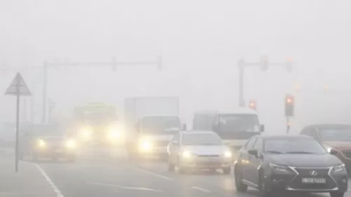 UAE Issues Red Alert for Foggy Conditions; Motorists Advised to Reduce Speed